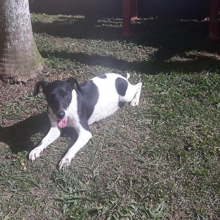 Sitio E Pousada Recanto Dos Ipes 特雷索波利斯 外观 照片