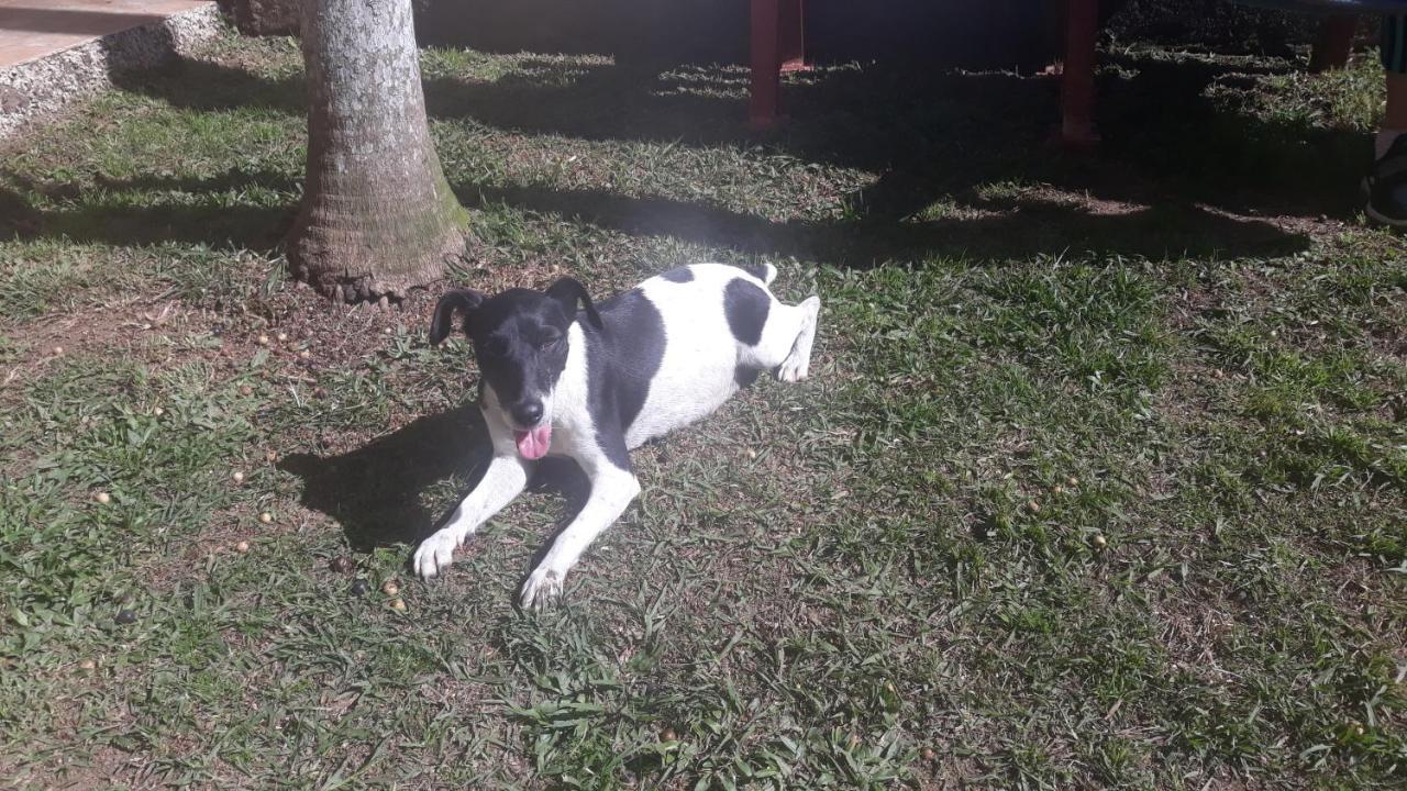 Sitio E Pousada Recanto Dos Ipes 特雷索波利斯 外观 照片
